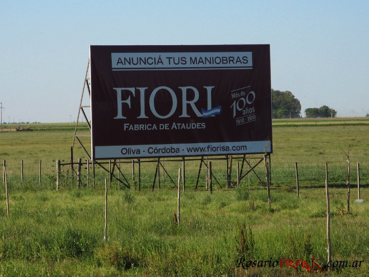 anuncia-oliva.jpg