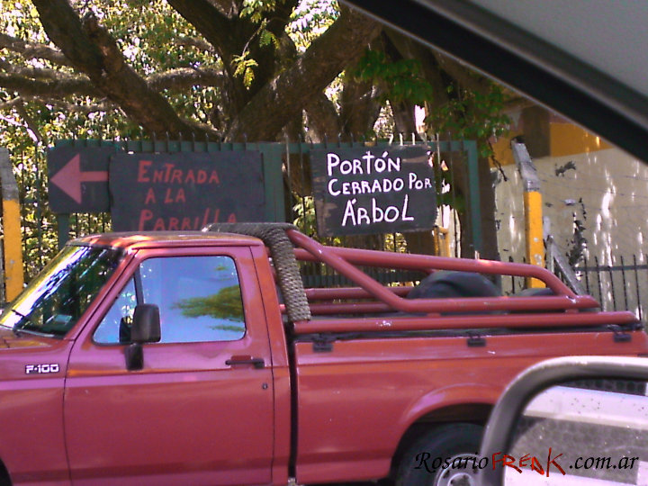 cerrado-por-arbol.jpg