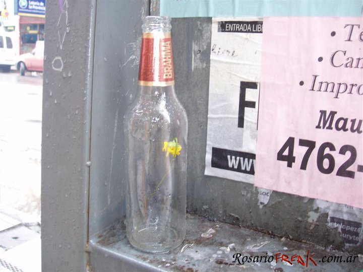flor_embotellada-munro-mw.jpg