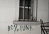 30% punk, 100% Freak