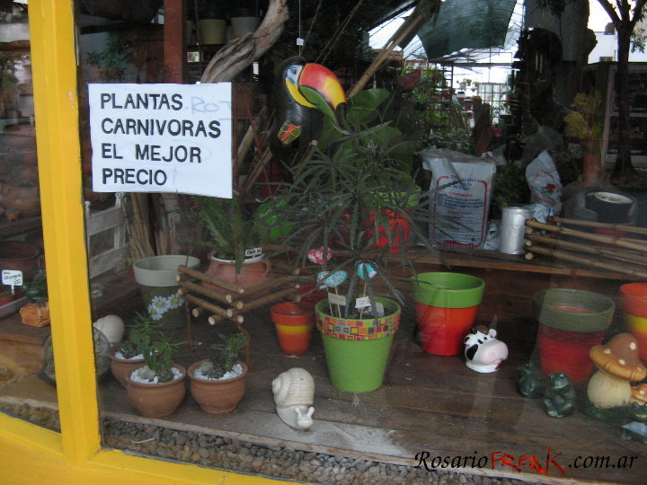plantas_carnivoras.jpg