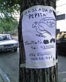 Se busca a Pepita