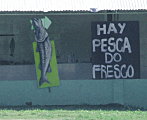 Pesca do fresco