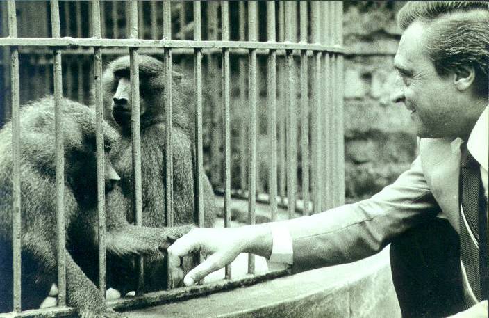 entrvista_a_monitos_del_zoo-2.jpg